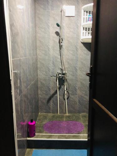 a bathroom with a shower with a purple rug at Guest House Gere in Omalo