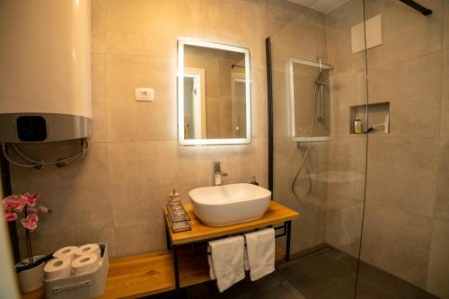 ein Bad mit einem Waschbecken und einer Dusche in der Unterkunft Apartment Lucky in Izola