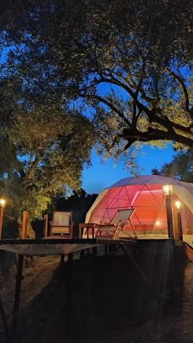 a dome tent sitting under a tree at night at Hayal Tadında in Izmir