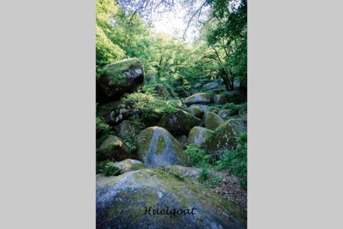 a group of rocks in a forest with trees at Le Penty du Peulven in Plestin-les-Grèves