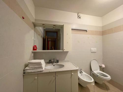 łazienka z umywalką, toaletą i lustrem w obiekcie Palazzina Rosa w mieście Spormaggiore