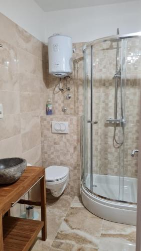 a bathroom with a shower and a toilet and a sink at Apartments Prižmić in Podstrana