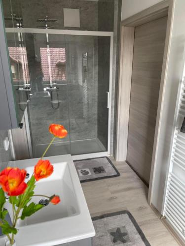 Koupelna v ubytování promedklinik apartment 2