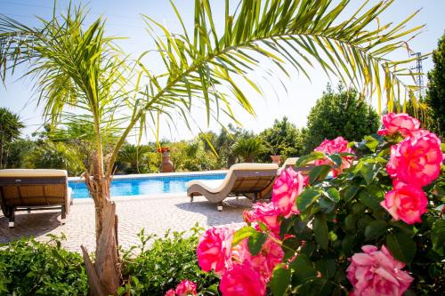 a swimming pool with two chairs and pink flowers at Villa Vanessa in Leuca