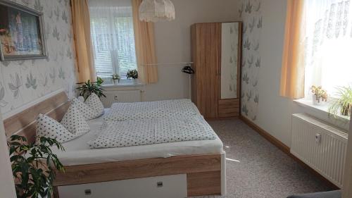 ein Schlafzimmer mit einem Bett mit Kissen und einem Fenster in der Unterkunft Ferienwohnung Lehmann in Pirna