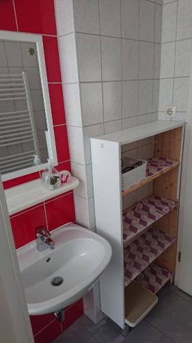ein kleines Bad mit einem Waschbecken und einem Spiegel in der Unterkunft Ferienwohnung Lehmann in Pirna