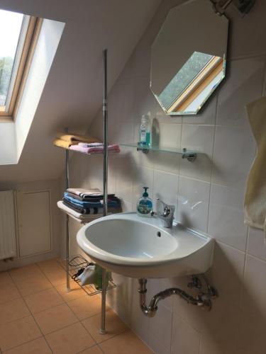 a bathroom with a sink and a mirror at Ferienwohnung Einkehr bei Franz in Groß Radisch