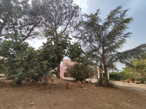 Taman di luar Calle dei Saraceni