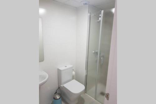 a white bathroom with a shower and a toilet at CABRIA APARTMENT in Granada