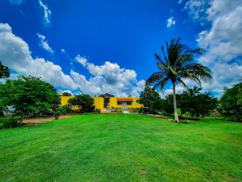 une cour avec un palmier et une maison jaune dans l'établissement Hotel Quinta Izamal, à Izamal