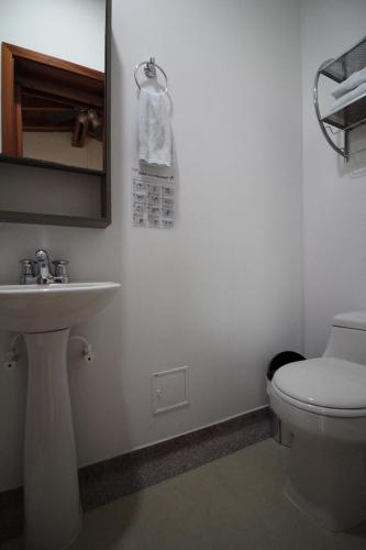 a bathroom with a white toilet and a sink at Amazilia Hotel in Pereira