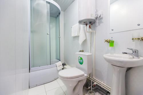 a bathroom with a shower and a toilet and a sink at Siyaniye Hotel in Syktyvkar