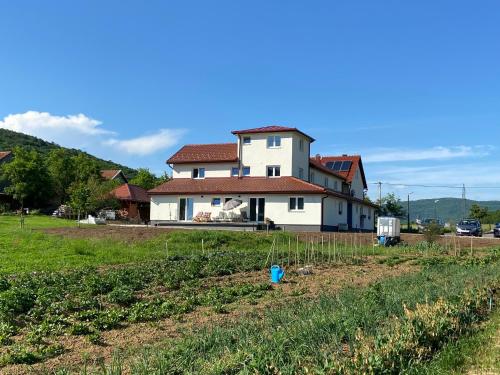 una casa in un campo vicino a un campo di colture di Apartman Fenestra s terasom i pogledom na Gacku a Otočac