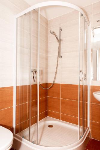 a bathroom with a shower and a sink at Apartmán v Žacléři Krkonoše in Žacléř