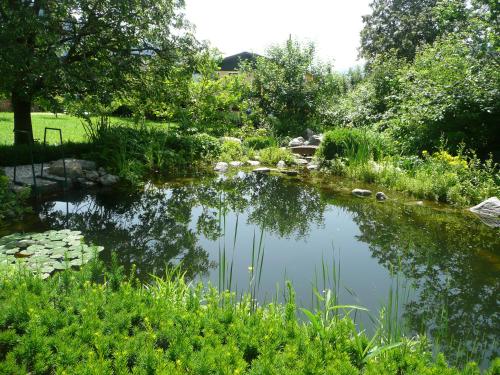a pond in the middle of a garden at Chalet Mandl Sauna Pool Rollstuhlgängig in Maishofen