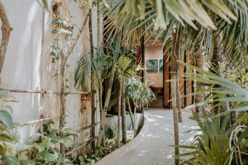 a room filled with lots of plants at Orchid House Tulum Jungle in Tulum