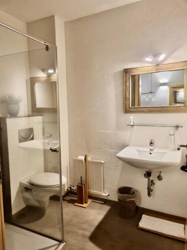 a bathroom with a sink and a toilet and a mirror at Boutique Hotel Morgentau in Passau