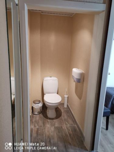 a bathroom with a toilet in a small room at Hôtel La Côte d'Or in Philippeville