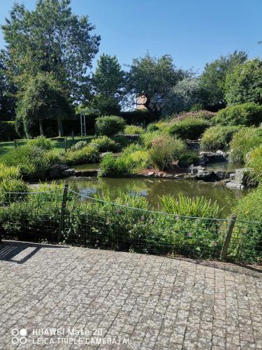a garden with a pond and a fence at Hôtel La Côte d'Or in Philippeville