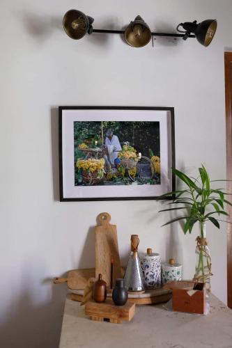 a picture hanging on a wall with a table with a plant at La casa dei ciclisti in Ponti Sul Mincio