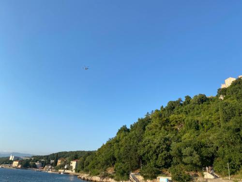 a hill with trees on it next to a body of water at Apartments Michael & Petra , Omisalj, Insel Krk, Kroatien in Omišalj