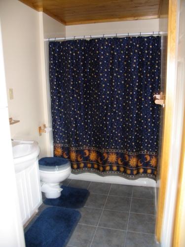 a bathroom with a toilet and a shower curtain at Adventure High Cabin in Seal Cove