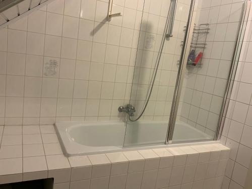 a bathroom with a shower and a bath tub at LinZn vakantiehuis in Wuustwezel
