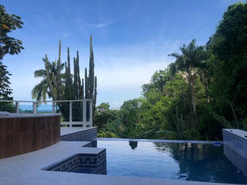 a swimming pool with cacti and trees in the background at Ruhig, gross mit herrlicher Aussicht in San Felipe de Puerto Plata