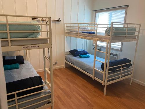 two bunk beds in a small room with a bed at WHOLE Family - Barrette (front) in Sacramento
