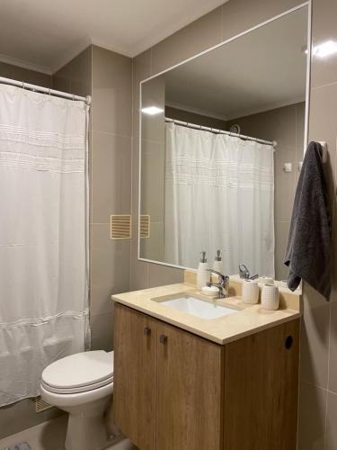 a bathroom with a sink and a toilet and a mirror at Confortable Departamento en Costanera Villarrica in Villarrica