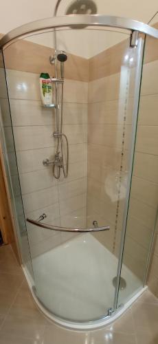 a shower with a glass enclosure in a bathroom at Western apartman in Budapest