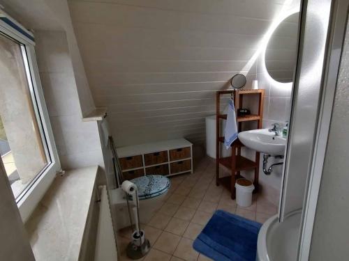 La petite salle de bains est pourvue d'une douche et d'un lavabo. dans l'établissement Ferienwohnung Schöne Aussicht, à Klingenberg