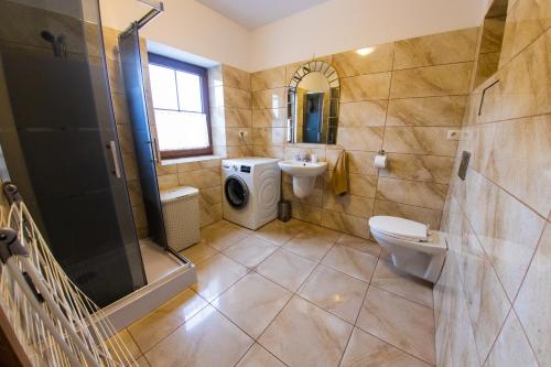 a bathroom with a shower toilet and a sink at Leśne zacisze- rowery,łódka,kajak in Kallinowen