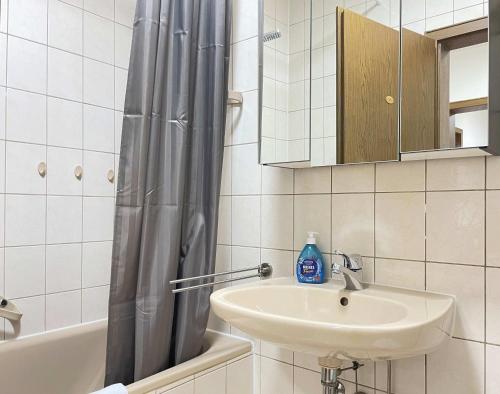 uma casa de banho com um lavatório e uma cortina de chuveiro em SAD161 - Gut geschnittene Monteurwohnung mit Balkon em Schwandorf