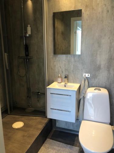 a bathroom with a toilet and a sink and a shower at Mariannelund Bed&Beer in Löberöd