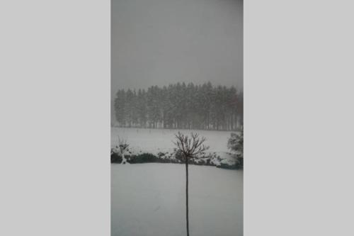 a view of a snow covered field through a window at Ruhe Oase mit tollem Fernblick inmitten der Natur in Limbach