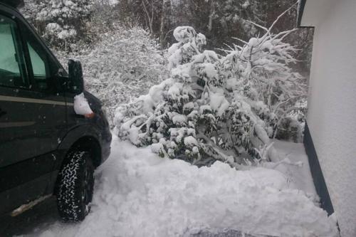 a snow covered bush in front of a car at Ruhe Oase mit tollem Fernblick inmitten der Natur in Limbach