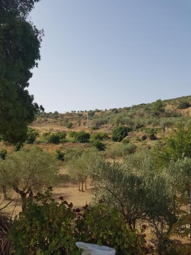 a view of a field with trees and bushes at Amandolas in Casarabonela