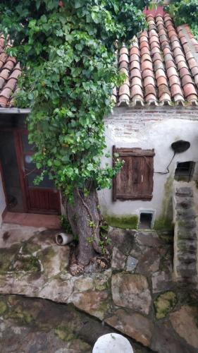 a tree in front of a building with a door at AIRAM Home ARAGON, 7 in Almansa