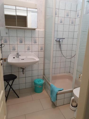 a small bathroom with a sink and a shower at Pension Edelweiß in Kurort Gohrisch