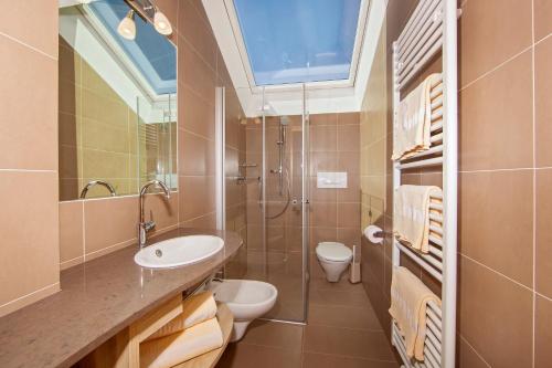 セルヴァ・ディ・ヴァル・ガルデーナにあるAppartamento Puezのバスルーム(洗面台、トイレ、シャワー付)