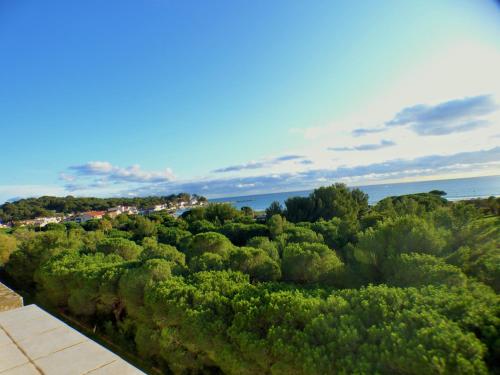 Photo de la galerie de l'établissement Résidence en plein coeur du parc paysager des Sablettes, à La Seyne-sur-Mer
