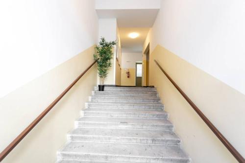 a staircase in a building with a plant at Gemütliches Studio l LF13 in Vienna