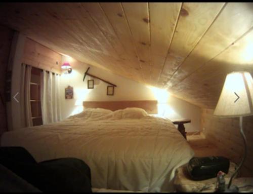 um quarto com uma cama grande num quarto em Résid. La Bruyère 18 em Champoussin
