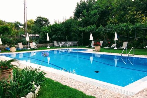 a large swimming pool with blue water in a yard at Katerinas House Apartment in Agios Gordios
