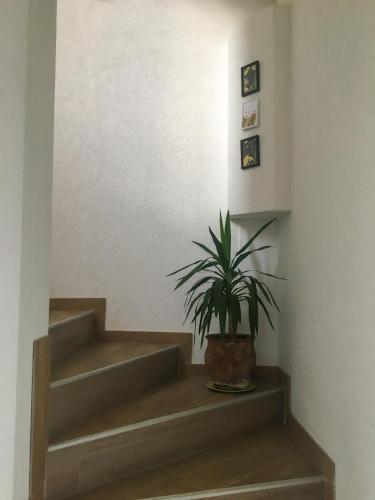 Gambar di galeri bagi Apartmani 23 di Novi Pazar