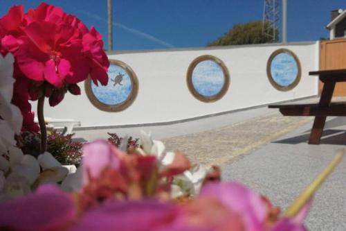 a group of windows on a boat with flowers at Casa Da Villa in Vila Praia de Âncora