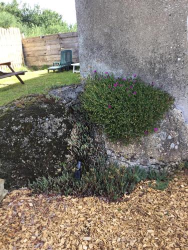 Κήπος έξω από το Gîte du Village d’Ava