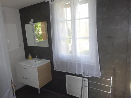 Saint-Cyprien的住宿－Gîte indépendant de 40 mètres carré pour les amoureux de la nature，一间带水槽和窗户的浴室