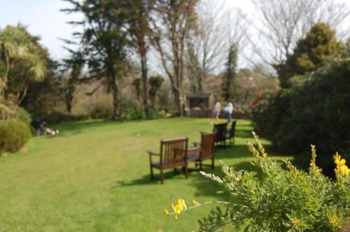 Gambar di galeri bagi La Michele di St Martin Guernsey